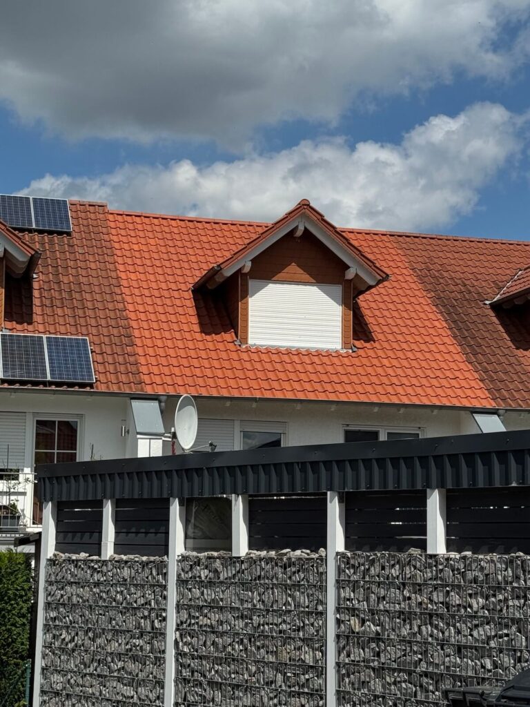 Professionelle Dachreinigung in Mannheim