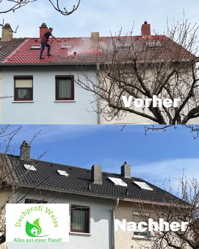 Dachreinigung Mannheim - Vorher Nachher - Dachprofi Weiss